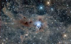 Preview of The Iris Nebula in a Field of Dust
