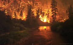 Preview of Fire on Earth