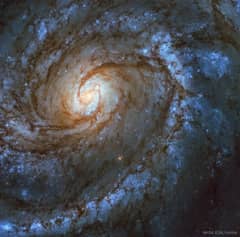 Preview of M100: A Grand Design Spiral Galaxy