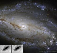 Preview of NGC 613 in Dust, Stars, and a Supernova