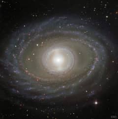 Preview of Ribbons and Pearls of Spiral Galaxy NGC 1398