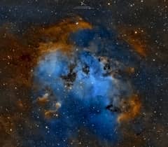 Preview of The Tadpoles of IC 410