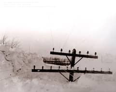 Preview of The Upper Michigan Blizzard of 1938