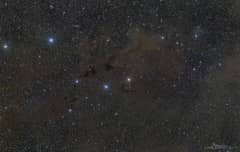 Preview of Barnard 228: The Dark Wolf Nebula in Lupus