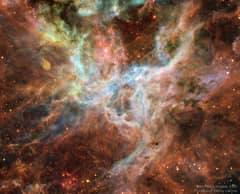 Preview of In the Heart of the Tarantula Nebula