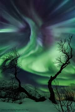 Preview of Creature Aurora Over Norway