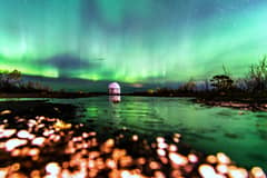 Preview of Aurora: The Frog's View