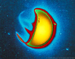 Preview of Ultraviolet Earth from an Observatory on the Moon