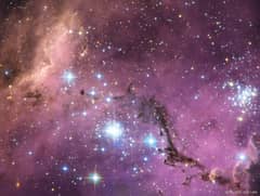Preview of N11: Star Clouds of the LMC
