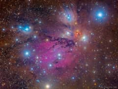 Preview of NGC 2170: Angel Nebula Still Life