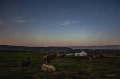 Preview of The Perseids and the Plough