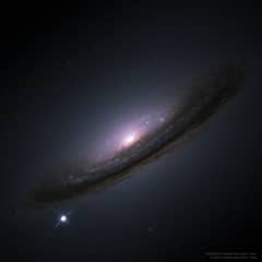 Preview of Rumors of a Dark Universe