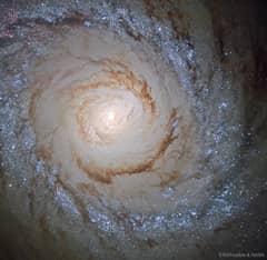 Preview of Starburst Galaxy M94 from Hubble