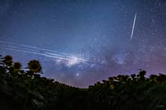 Preview of Starlink Satellite Trails over Brazil