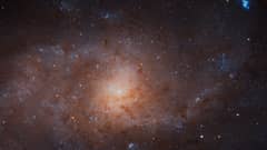 Preview of The Stars of the Triangulum Galaxy