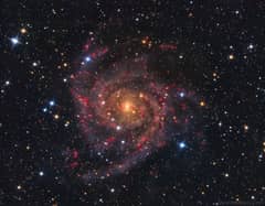 Preview of IC 342: The Hidden Galaxy