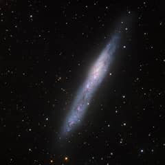 Preview of Magellanic Galaxy NGC 55