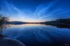 Preview of The Veins of Heaven