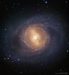 Preview of M95: Spiral Galaxy with an Inner Ring