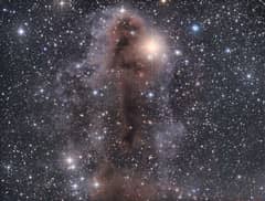 Preview of Lynds Dark Nebula 1251