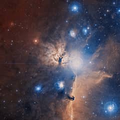 Preview of Inside the Flame Nebula