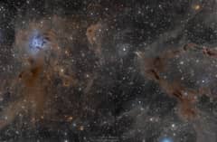 Preview of The Iris Nebula in a Field of Dust