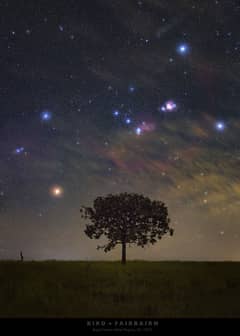 Preview of Orion Rising over Brazil