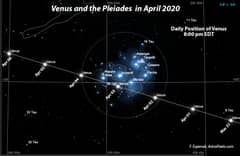 Preview of Venus and the Pleiades in April