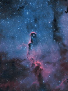 Preview of The Elephant's Trunk Nebula in Cepheus