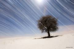 Preview of Star Trails of the North and South