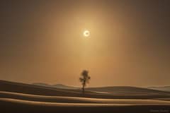 Preview of A Desert Eclipse