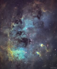 Preview of The Tadpoles of IC 410