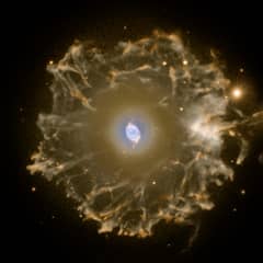 Preview of Halo of the Cat's Eye