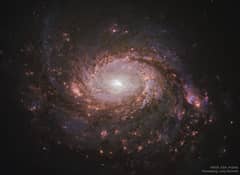 Preview of M77: Spiral Galaxy with an Active Center