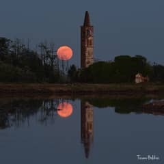 Preview of Full Flower Moonrise