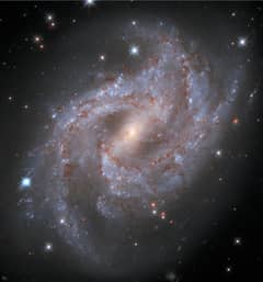 Preview of Supernova in NGC 2525
