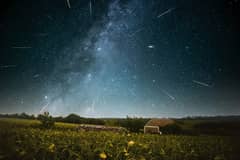 Preview of Three Perseid Nights