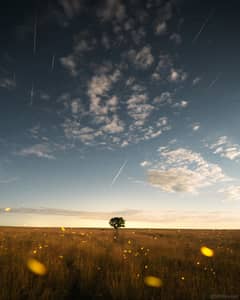 Preview of Geminids of the South