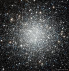 Preview of Blue Straggler Stars in Globular Cluster M53