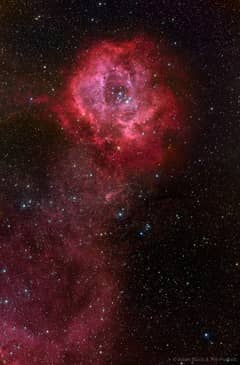 Preview of Long Stem Rosette Nebula