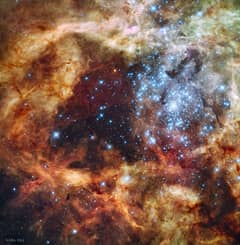 Preview of Star Cluster R136 Breaks Out