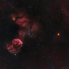 Preview of The Jellyfish and Mars