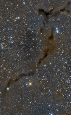 Preview of The Dark Seahorse in Cepheus