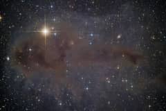 Preview of Lynds Dark Nebula 1251