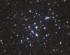 Preview of M44: The Beehive Cluster