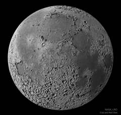 Preview of Terminator Moon