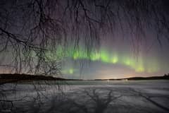 Preview of Aurora by Moonlight