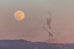 Preview of The Full Moon and the Dancer
