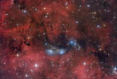 Preview of The NGC 6914 Complex
