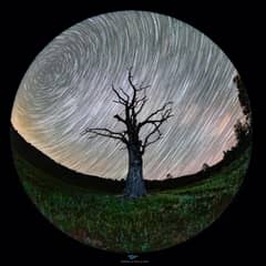 Preview of Roots on a Rotating Planet